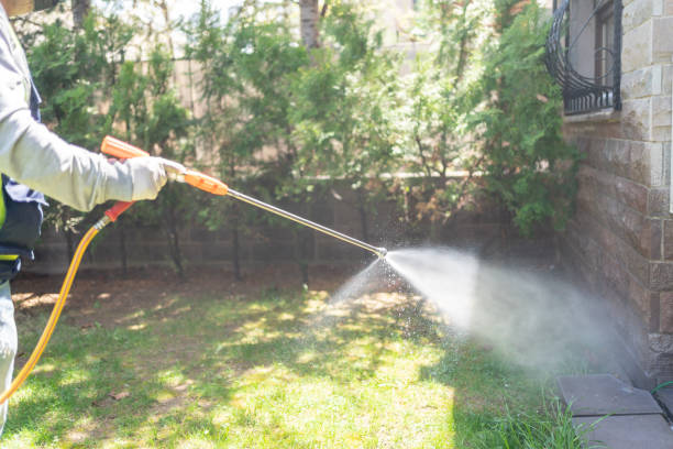 Best Mosquito Control  in East Dennis, MA